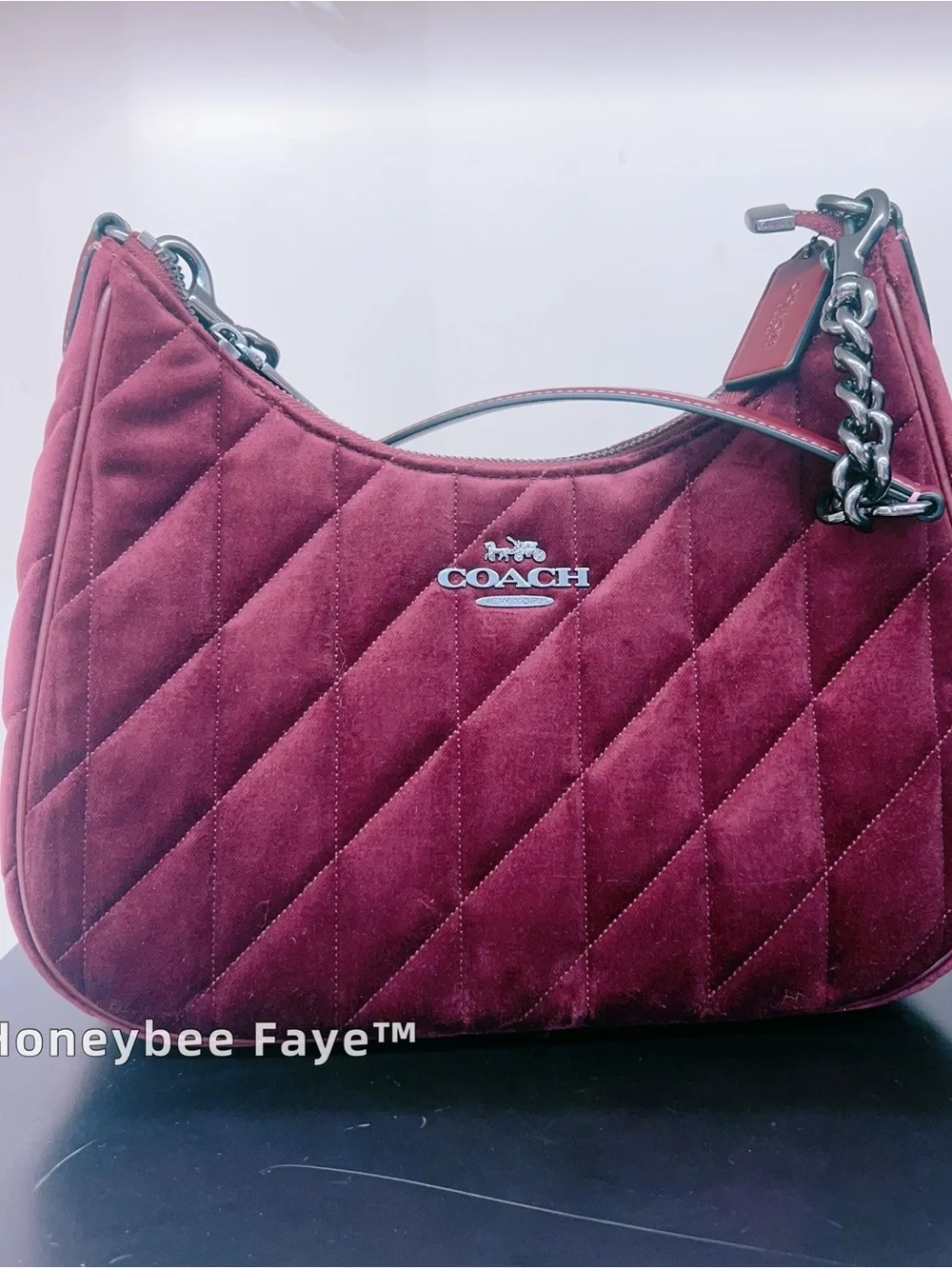 NWT COACH Teri Hobo Bag In Organic Cotton With Quilting CCW69
